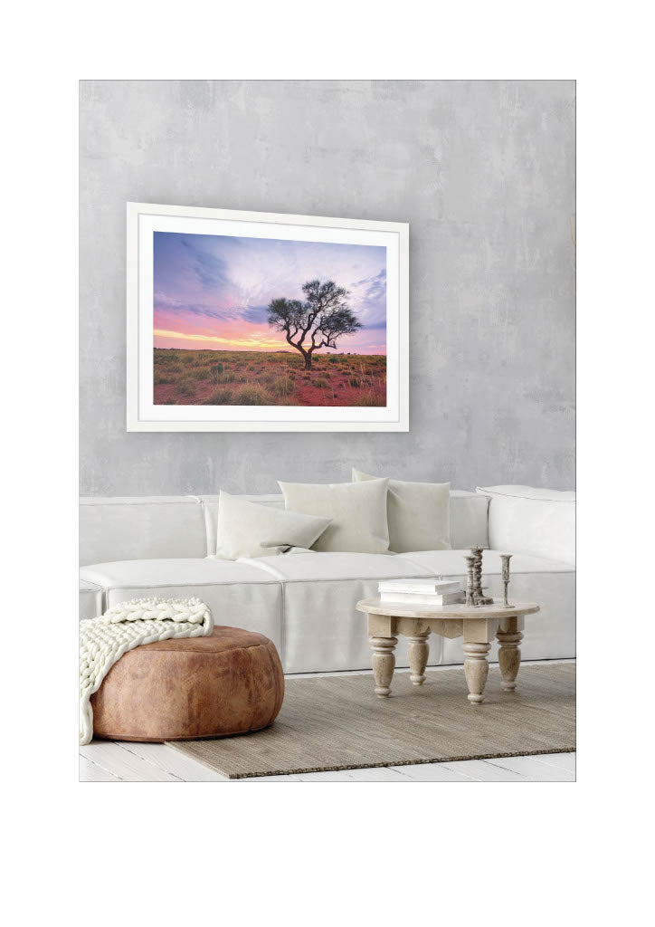 The Australian Collection