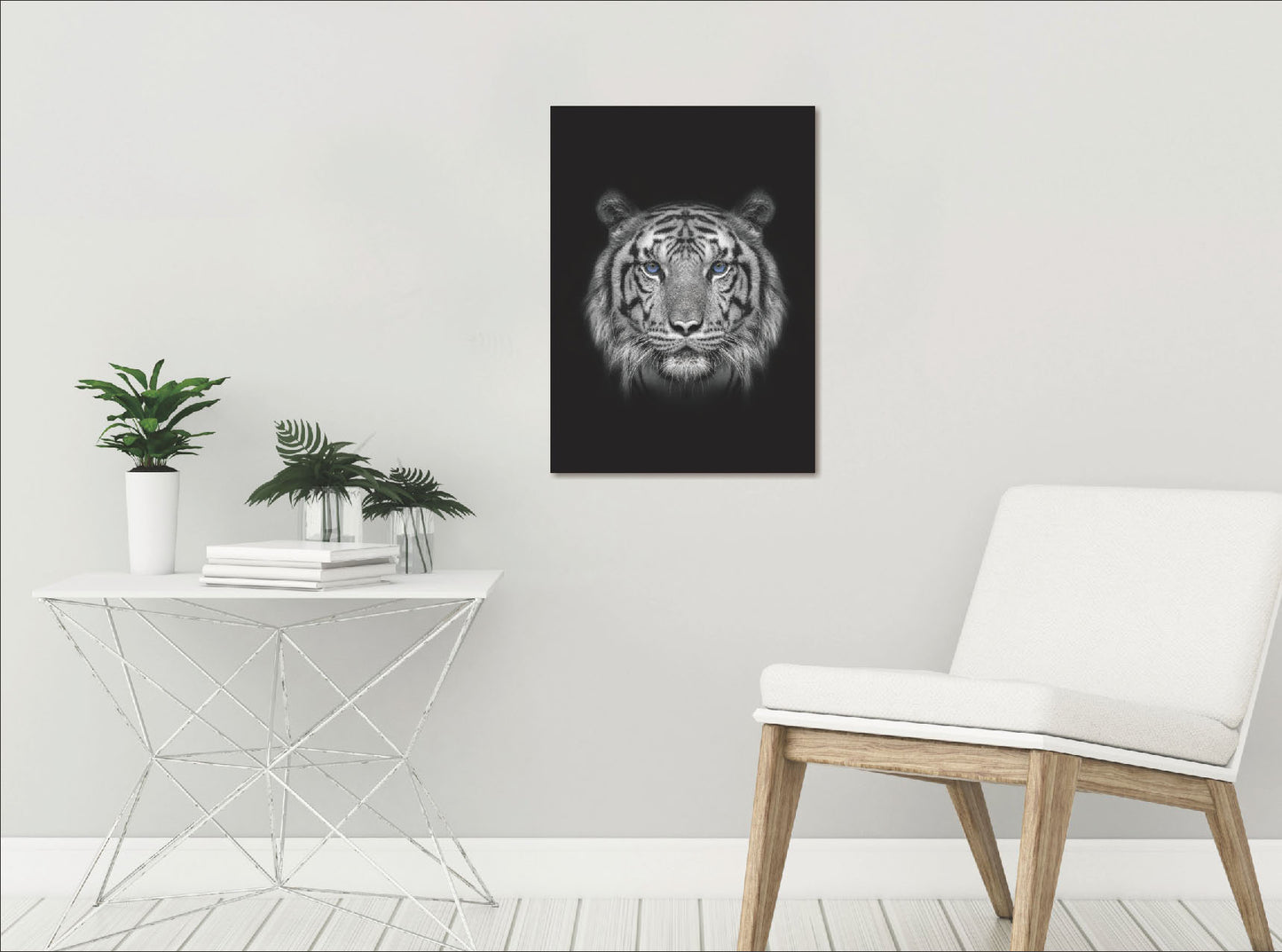 Tiger with Blue Eyes 50x70cm (#241)
