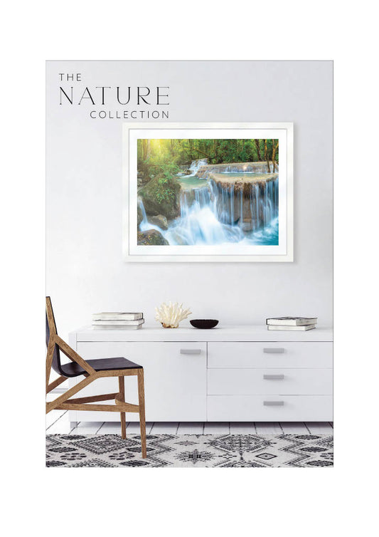 The Nature Collection