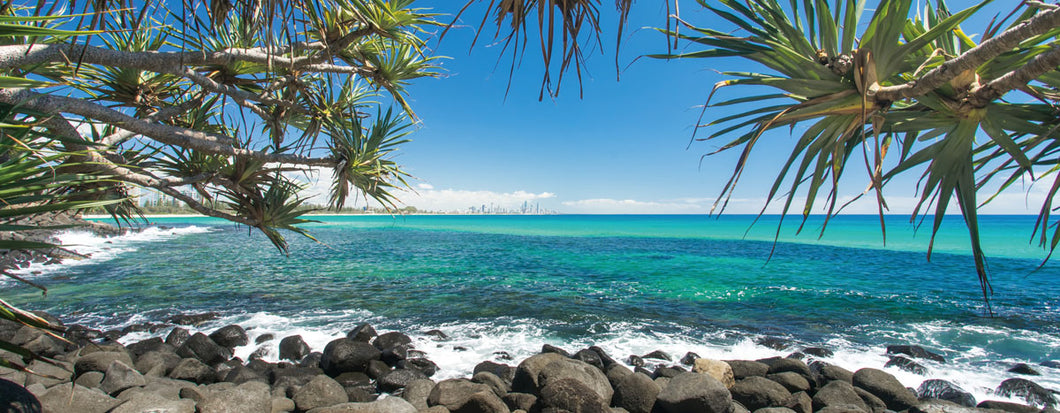 Between the Trees at Burleigh Heads, Gold Coast 180x70cm (#508)