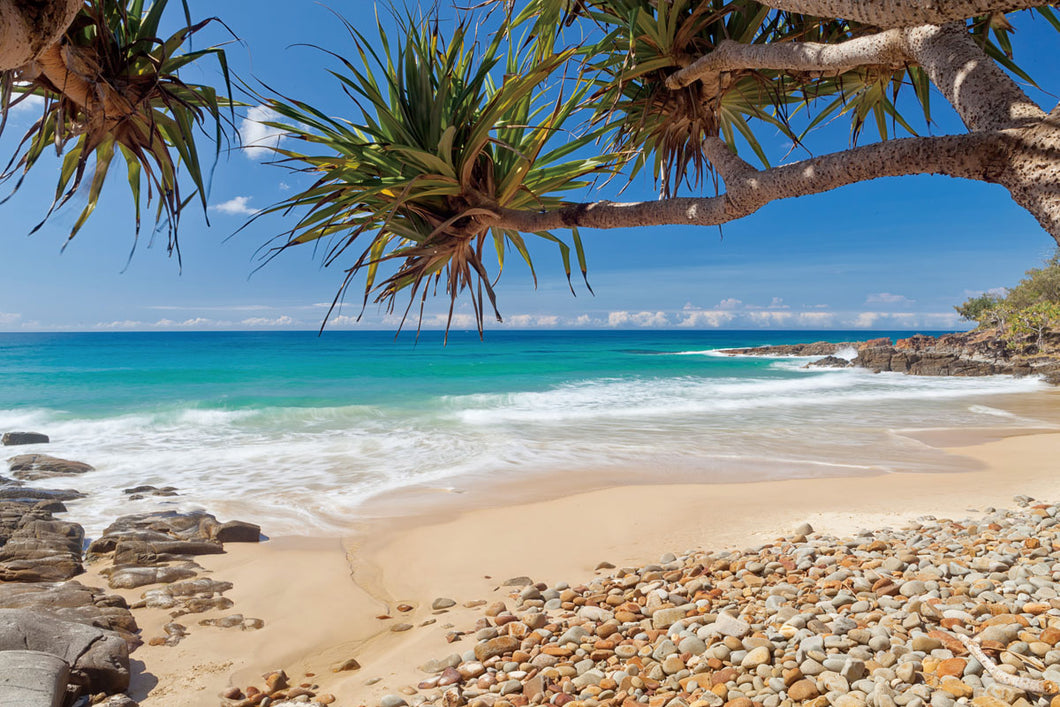 Coolum Beach, Sunshine Coast 90x60cm (#382)