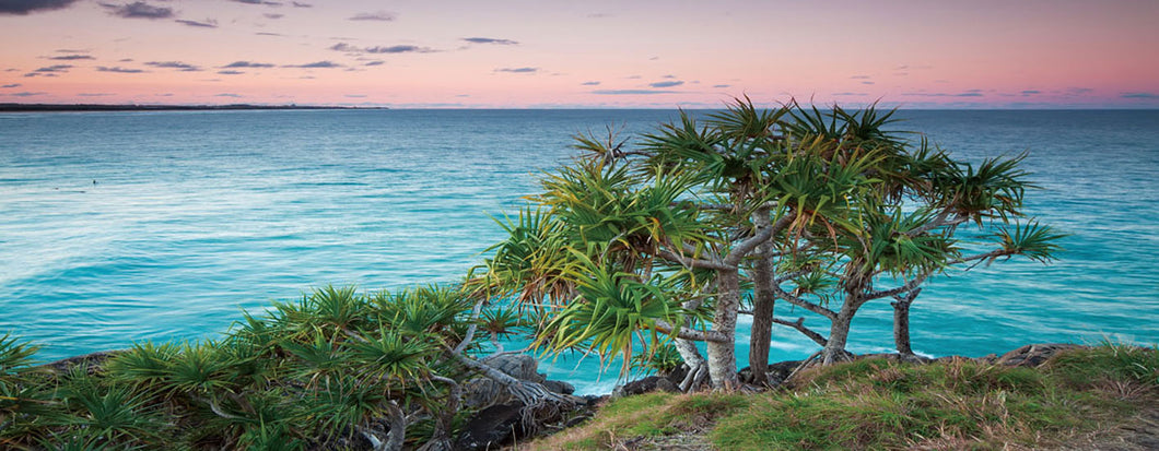 The Headland at Cabarita Beach 180x70cm (#1528)