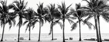 Load image into Gallery viewer, Black &amp; White Palm Trees 180x70cm (#1546)
