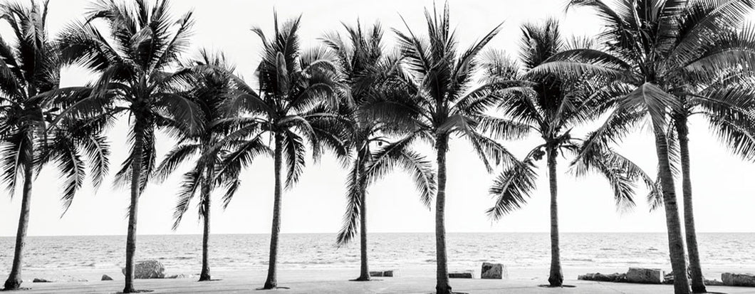 Black & White Palm Trees 180x70cm (#1546)