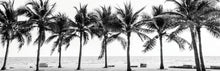 Load image into Gallery viewer, Black and White Palm Trees 140x45cm (#1446)
