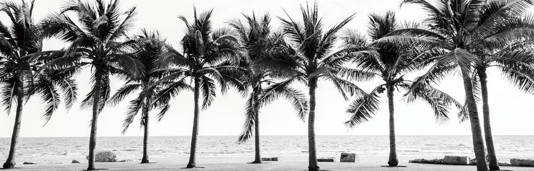 Black and White Palm Trees 140x45cm (#1446)