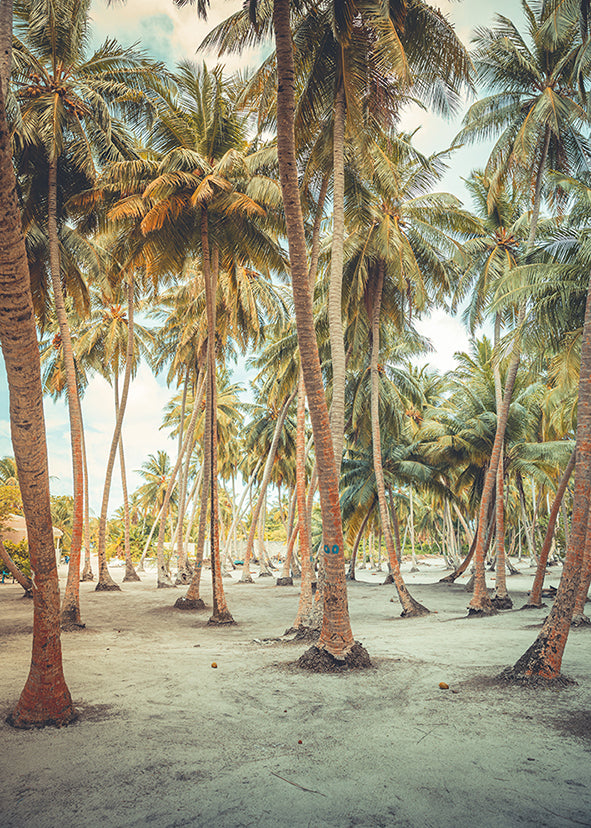 Palm Trees 50x70cm (#287)