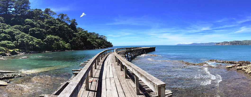 Boardwalk in NZ 180x70cm