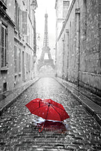 Load image into Gallery viewer, The Red Umbrella in Paris 50x70cm (#215)
