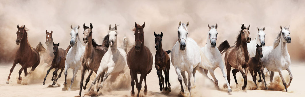 Running Horses 140x45cm (#466)