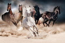 Load image into Gallery viewer, Horses in the Sand #2 90x60cm (#1354)
