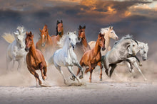 Load image into Gallery viewer, Horses in the Sand #1 90x60cm (#325)
