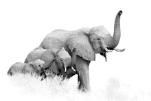 Load image into Gallery viewer, Family of Elephants 90x60cm (#2340)
