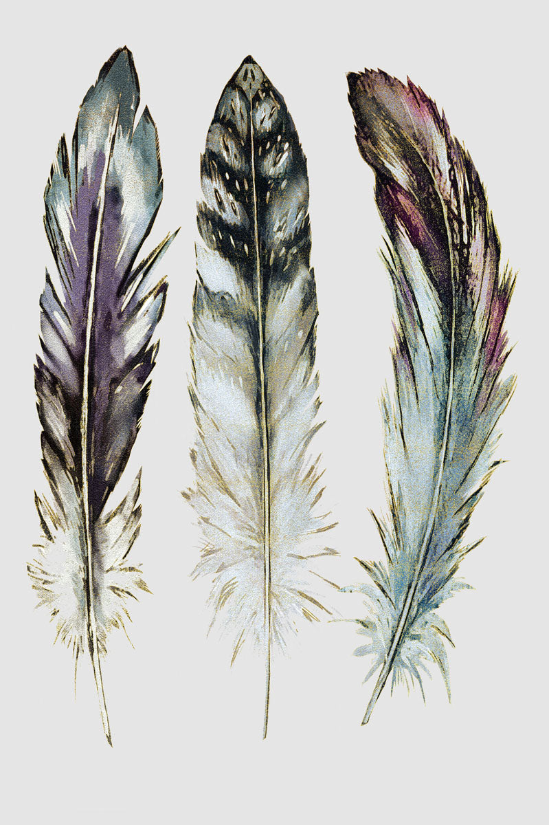 Feathers 50x70cm (#210)